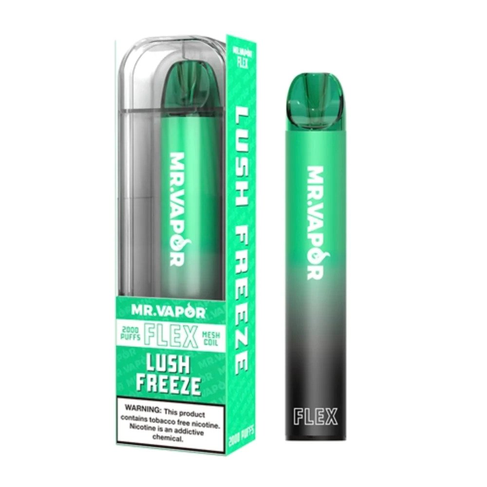 MR VAPOR FLEX 2000 PUFF (10pcs)