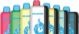 MR VAPOR ARCTIC 30K PUFFS DISPOSABLE (5pcs)
